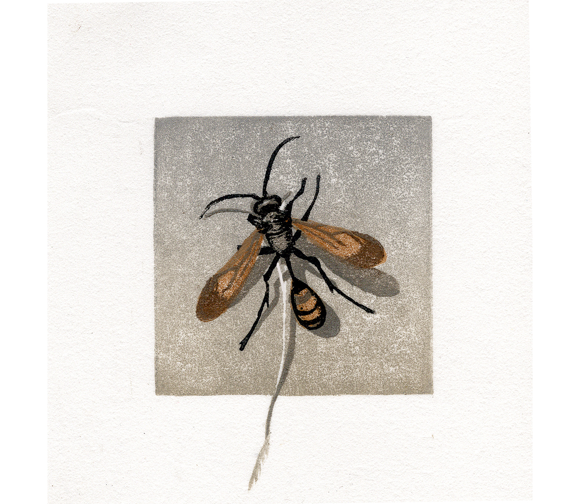 “Carry” - Kristen Etmund